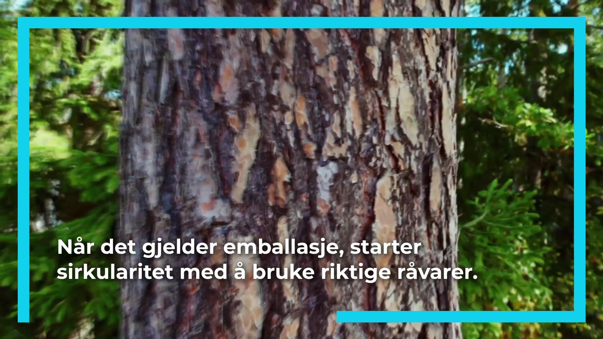 Hvorfor velge fornybare kartonger?